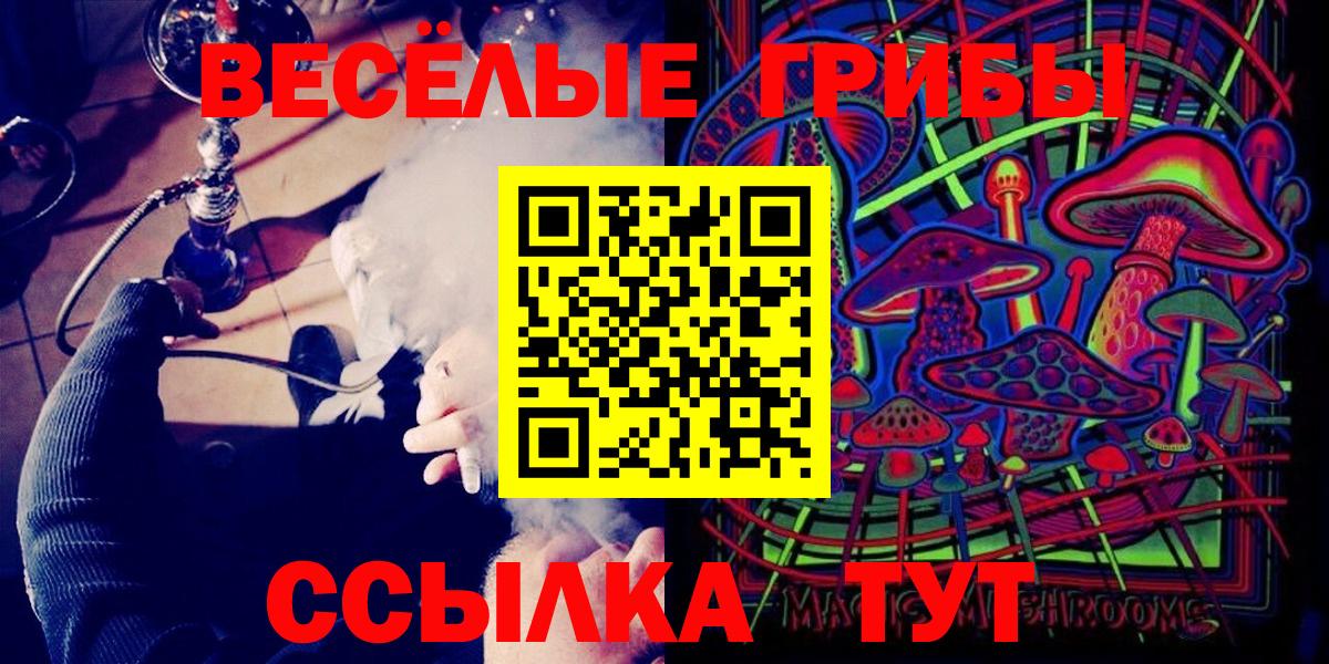 Псилоцибиновые грибы Cubensis Норильск