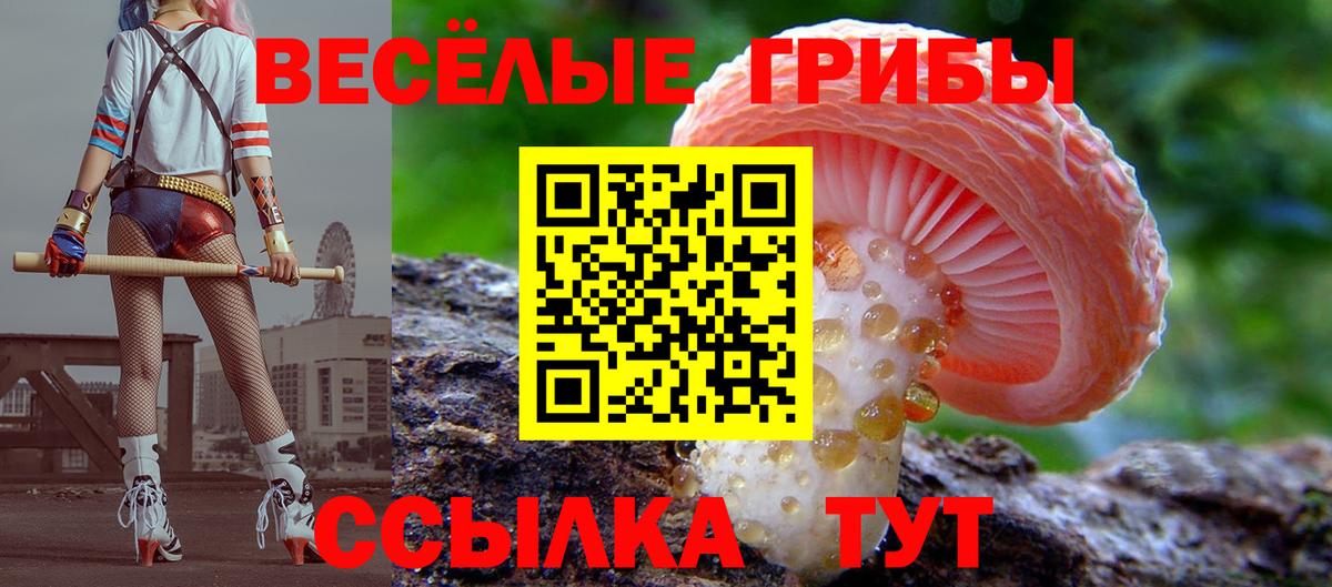 Норильск  Псилоцибиновые грибы Cubensis  Вход с VPN 